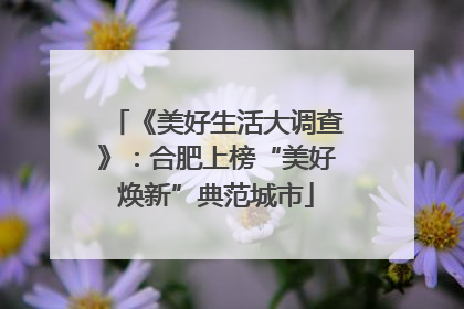 《美好生活大调查》：合肥上榜“美好焕新”典范城市