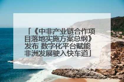 《中非产业链合作项目落地实施方案总纲》发布 数字化平台赋能非洲发展驶入快车道