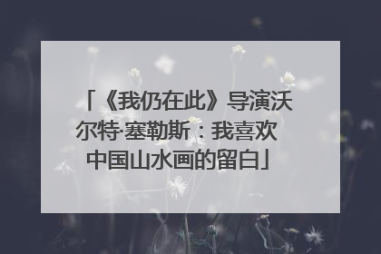 《我仍在此》导演沃尔特·塞勒斯：我喜欢中国山水画的留白