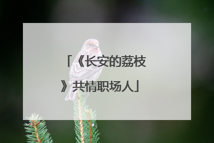 《长安的荔枝》共情职场人