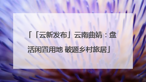 「云新发布」云南曲靖：盘活闲置用地 破题乡村旅居