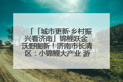 「城市更新·乡村振兴看济南」锦鲤跃金 沃野图新！济南市长清区：小锦鲤大产业 游出农旅新风景