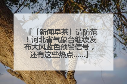 「新闻早茶」请防范！河北省气象台继续发布大风蓝色预警信号，还有这些热点……
