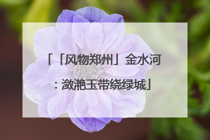 「风物郑州」金水河：潋滟玉带绕绿城