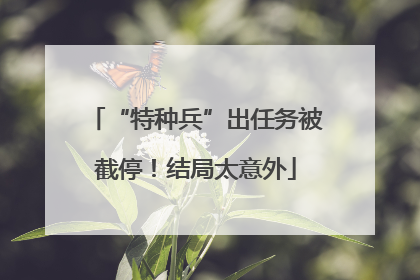 “特种兵”出任务被截停！结局太意外