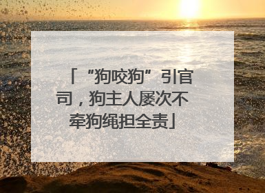“狗咬狗”引官司，狗主人屡次不牵狗绳担全责
