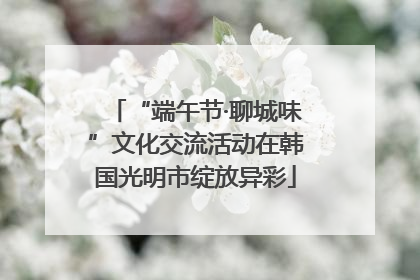 “端午节·聊城味”文化交流活动在韩国光明市绽放异彩