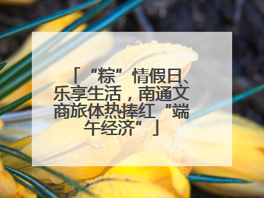 “粽”情假日、乐享生活，南通文商旅体热捧红“端午经济”