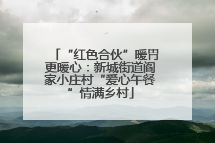 “红色合伙”暖胃更暖心：新城街道阎家小庄村“爱心午餐”情满乡村