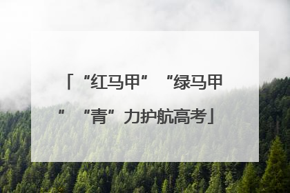 “红马甲”“绿马甲”“青”力护航高考