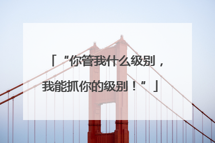 “你管我什么级别，我能抓你的级别！”