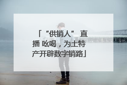 “供销人” 直播 吆喝，为土特产开辟数字销路