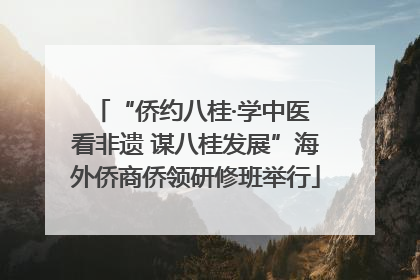 “侨约八桂·学中医 看非遗 谋八桂发展”海外侨商侨领研修班举行