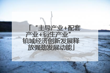 “主导产业+配套产业+衍生产业” 镇域经济创新发展释放强劲发展动能
