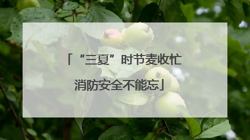 “三夏”时节麦收忙 消防安全不能忘