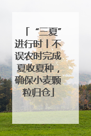 “三夏”进行时丨不误农时完成夏收夏种，确保小麦颗粒归仓