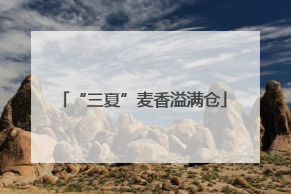“三夏”麦香溢满仓
