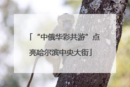 “中俄华彩共游”点亮哈尔滨中央大街