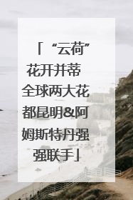 “云荷”花开并蒂 全球两大花都昆明&阿姆斯特丹强强联手