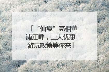 “仙境”亮相黄浦江畔，三大优惠游玩政策等你来