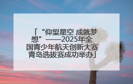 “仰望星空 成就梦想”——2025年全国青少年航天创新大赛青岛选拔赛成功举办