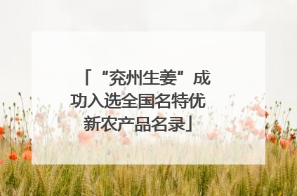 “兖州生姜”成功入选全国名特优新农产品名录
