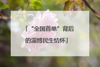 “全国首单”背后的淄博民生情怀