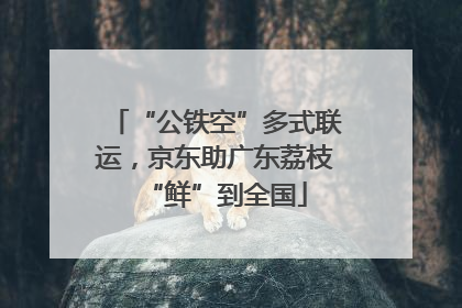 “公铁空”多式联运，京东助广东荔枝“鲜”到全国