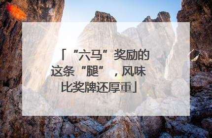 “六马”奖励的这条“腿”，风味比奖牌还厚重