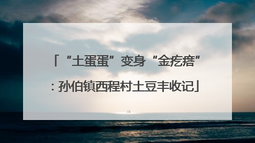 “土蛋蛋”变身“金疙瘩”：孙伯镇西程村土豆丰收记