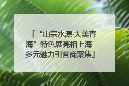 “山宗水源·大美青海”特色展亮相上海 多元魅力引客商聚焦