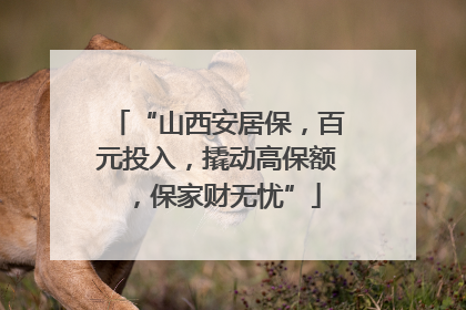“山西安居保，百元投入，撬动高保额，保家财无忧”