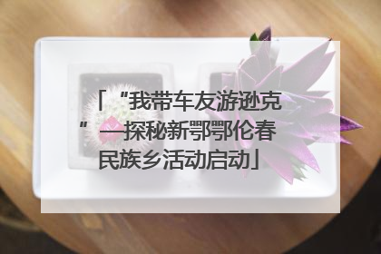 “我带车友游逊克”—探秘新鄂鄂伦春民族乡活动启动