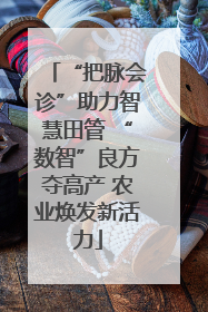 “把脉会诊”助力智慧田管 “数智”良方夺高产 农业焕发新活力