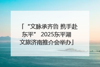 “文脉承齐鲁 携手赴东平” 2025东平湖文旅济南推介会举办