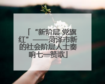 “新阶层 党旗红”——菏泽市新的社会阶层人士奏响七一赞歌