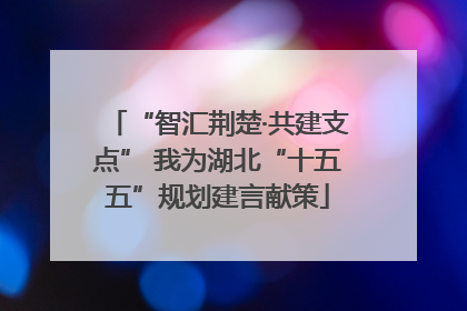 “智汇荆楚·共建支点” 我为湖北“十五五”规划建言献策
