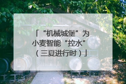 “机械城堡”为小麦智能“控水”（三夏进行时）