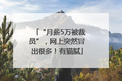 “月薪5万被裁员”，网上突然冒出很多！有猫腻