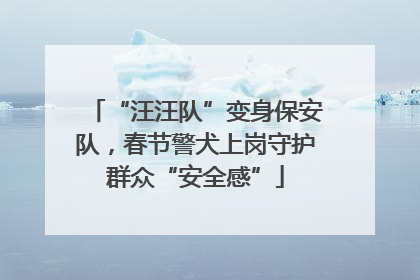 “汪汪队”变身保安队，春节警犬上岗守护群众“安全感”