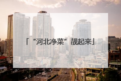 “河北净菜”靓起来