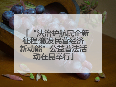 “法治护航民企新征程·激发民营经济新动能”公益普法活动在昆举行