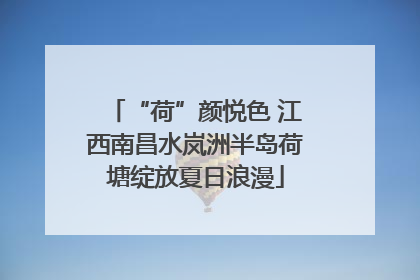 “荷”颜悦色 江西南昌水岚洲半岛荷塘绽放夏日浪漫