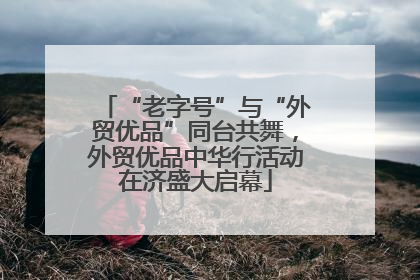 “老字号”与“外贸优品”同台共舞，外贸优品中华行活动在济盛大启幕