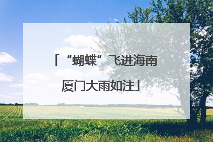 “蝴蝶”飞进海南 厦门大雨如注