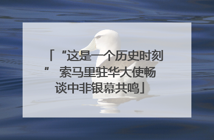 “这是一个历史时刻” 索马里驻华大使畅谈中非银幕共鸣