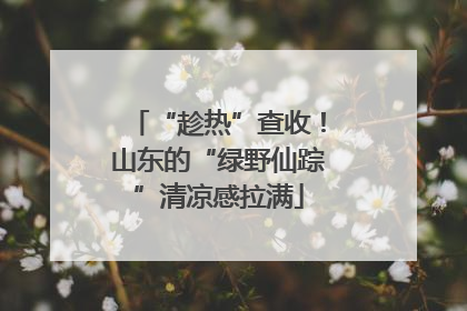 “趁热”查收！山东的“绿野仙踪”清凉感拉满