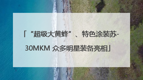 “超级大黄蜂”、特色涂装苏-30MKM 众多明星装备亮相