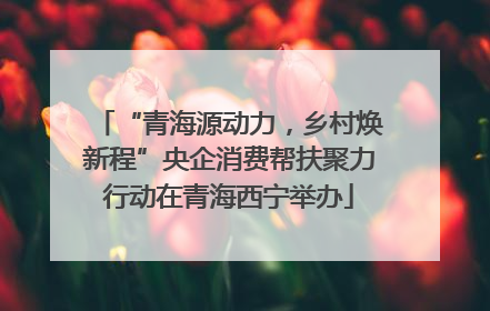 “青海源动力，乡村焕新程”央企消费帮扶聚力行动在青海西宁举办
