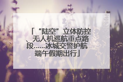 “陆空”立体防控、无人机巡航重点路段……冰城交警护航端午假期出行